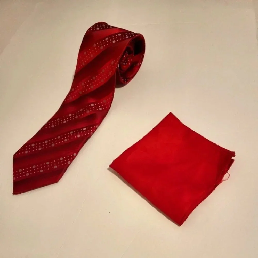 Men's Necktie Handkerchief Set by BelVetro